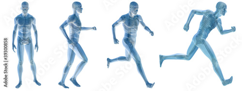 Illustration: High resolution conceptual man anatomy High resolution conceptual man anatomy