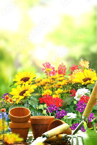 Photo: Garten Garten