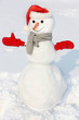 Snowman against snowy field.
