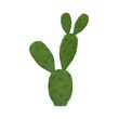 3d render of cactus flower