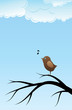 Bird singing song on tree branch Bird singing song on tree branch