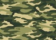 Vector camouflage background