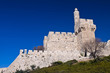 The tower of David