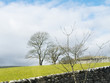 North Yorkshire Moors Yorkshire England