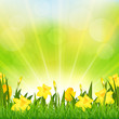 Vektor: Flowers Easter Background Flowers Easter Background