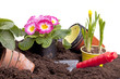 Gartenarbeit - Blumen pflanzen