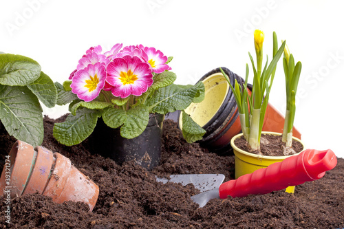 Photo: Gartenarbeit - Blumen pflanzen Gartenarbeit - Blumen pflanzen