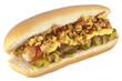 Hot Dog with onions and cucumber