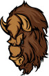 Buffalo Bison Mascot Head Cartoon