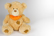 Teddy