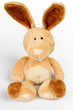 Foto: Hase Hase