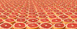 Slices of grapefruit. Slices of grapefruit.