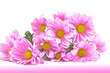 Bouquet of chrysanthemums.