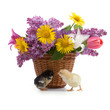Chickens and bouquet of flowers Chickens and bouquet of flowers