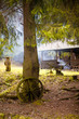 altes Wagenrad am Baum