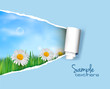 Nature background with ripped paper  Vector illustration