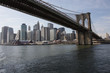 Manhattan with Brooklyn Bridge