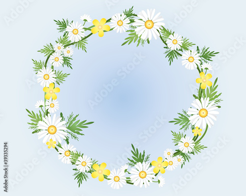 Vektor: camomile wreath camomile wreath