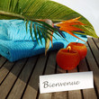 Bienvenue Hotel