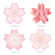 cherry blossom set