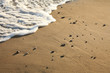 a background image of beach with pebble stone