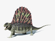 Dimetrodon dinosaur. On white background with dropped shadow and