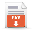 Download Button - FLV