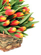 Tulip flowers in the wicked basket