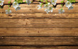 fiori di mela sul legno