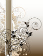 Abstract floral banner