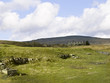 North Yorkshire Moors Yorkshire England