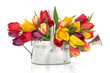 Tulip Flower Beauty