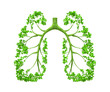 Lungs - tree