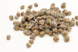 Salted capers of Pantelleria on a white background
