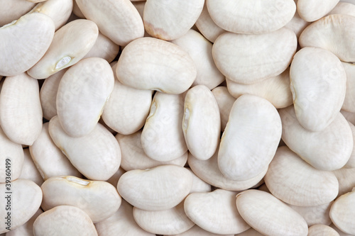 Photo: Lima Bean Lima Bean