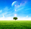 green mystery