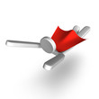 PersonWhoIsFlyingTopView_image