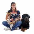 chihuahuas, rottweiler et jeune femme
