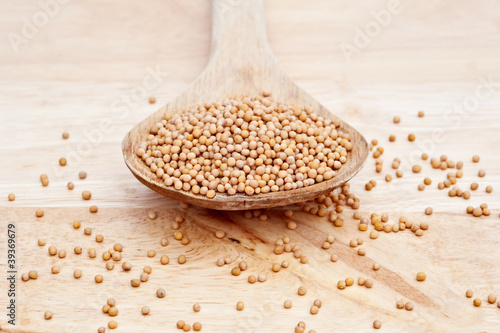 Photo: Mustard Seeds on wooden serving spoon with selective focus Mustard Seeds on wooden serving spoon with selective focus