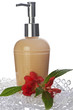 cleaning products of the body