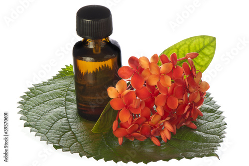 Photo: cleaning products of the body cleaning products of the body