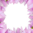 Magnolia Frame