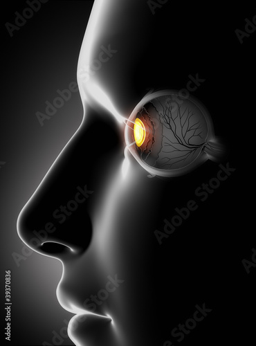 Illustration: Male face with human eye antomy Male face with human eye antomy