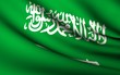 Flying Flag of Saudi Arabia . All Countries Collection .