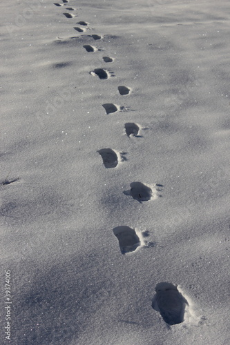 Photo: Footprints in snow Footprints in snow
