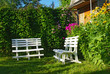 White benches in a secluded corner of lush green garden White benches in a secluded corner of lush green garden