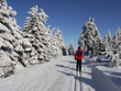 Oberwiesenthal