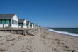 Cape Cod