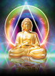 Buddha 24