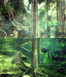 Tropical jungle